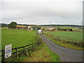 Drive leading to Frankham Fell