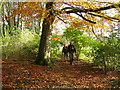 Footpath above Newbrough