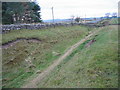 NY8671 : Ditch, Hadrian's Wall near Carrawbrough Farm by Les Hull
