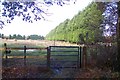 Gate on the bridleway near Court Wood