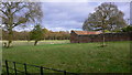 Wall and field at Ivelle Farm