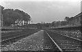 Derelict remains of Bilston Central Station looking towards Wolverhampton Low Level, 1978.