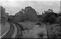 Overgrown and derelict remains of Priestfield Station. 1978.