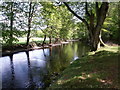 River Earn at Dundurn, Perthshire