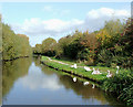 Trent and Mersey Canal, Burton-upon-Trent