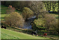 Horses by the Afon Brennig