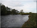 NZ2214 : River Tees South of High Coniscliffe by Chris Heaton