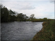 NZ2214 : River Tees South of High Coniscliffe by Chris Heaton