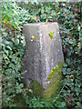 Trig Point  - Burton Reservoir