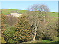 The valley of Sinderhope Burn