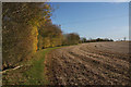 Footpath to Haugh Lane