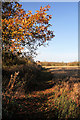 Footpath to Hunston Church