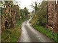 Lane at Adsborough