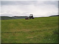 Grassland near Pedair Groesffordd