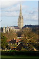 SU1328 : View From Harnham Hill, Salisbury by Peter Trimming
