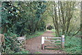 Forest Way Cycleway.