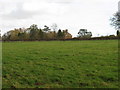 View SE across field to Ivorys