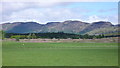 NN7620 : Water meadows near Guilt, Comrie, Perthshire by Anthony O'Neil