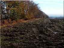 NS8384 : Ploughed field near Torwood Castle by Lairich Rig
