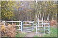 Kissing Gate into Howfield Wood