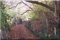 North Downs Way on Golden Hill