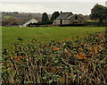 Edge of Cwm Farm from Cwm Lane