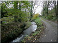 Brook near Trenoweth Mill