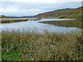 The Otter Pool on the River Cree, Galloway