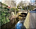 Blackshaw Brook