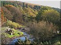 The River East Allen below Blackbank (2)