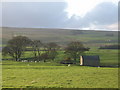 Pastures around the cleugh of Acton Burn