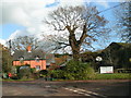 Buildings at Westwood