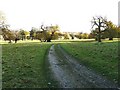 Track/bridleway through Fredville Park