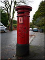 Postbox, Belfast