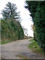 Footpath, Holt Heath