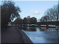 Boats moored in the Lea Valley