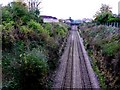 Taunton to Westbury Railway