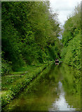 SJ6931 : Shropshire Union Canal south of Tyrley, Shropshire by Roger  D Kidd