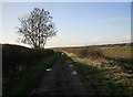 Farm track to the fields