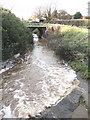 The South brook, following a downpour