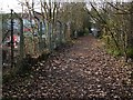 Footpath to Winchester Avenue