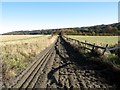 The Gallops at Aldbury