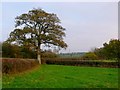 Countryside near Blackmore Ford Bridge