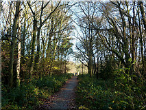 SO0660 : Path to Princes Avenue and the lake by Andrew Hill