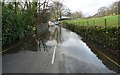 SD3695 : The B5285 flooded at Near Sawrey, Cumbria by Ian Porter