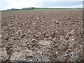 Plough, Lower Barnsley Farm