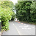 Caerleon Road woods, Newport