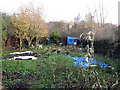 One of the allotments between Ascot Road and New Bridge