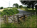 Footpath meeting Plean Road