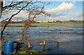 The Water of Girvan Flood Plain